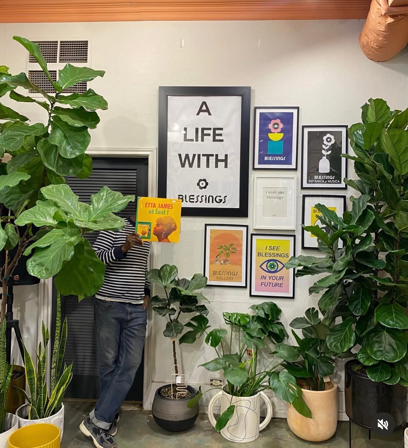 Person holding an Etta James record among lush plants and 'Blessings' themed gallery wall.